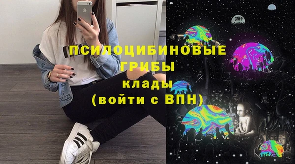 ешки Дмитриев
