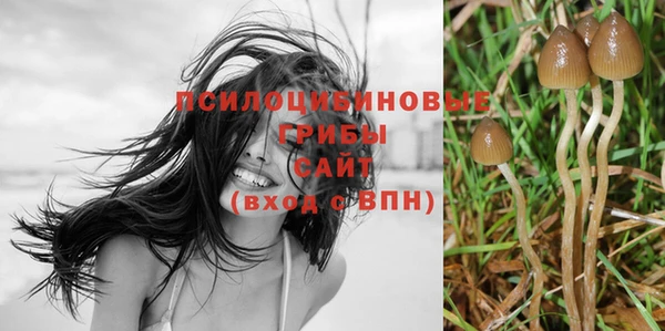 ешки Дмитриев