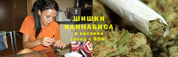 ешки Дмитриев