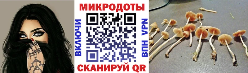 omg tor  даркнет сайт  Копейск  Галлюциногенные грибы мицелий 