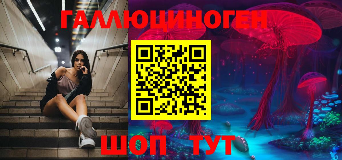 Псилоцибиновые грибы MAGIC MUSHROOMS  Вход с VPN  Псилоцибиновые грибы ЛСД  наркотики  Копейск 