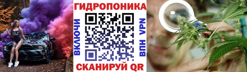 МАРИХУАНА OG Kush  купить наркоту  Копейск 